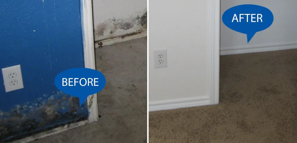 Before and after mould removal on a basement wall